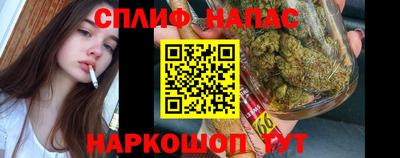 ПСИЛОЦИБИНОВЫЕ ГРИБЫ Кингисепп