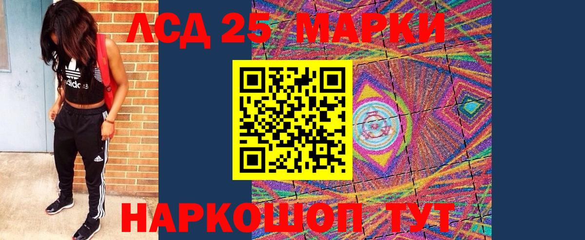 A PVP Кизилюрт