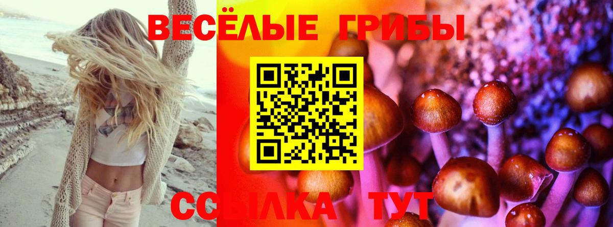где продают   Галлюциногенные грибы мухоморы  Кизилюрт  Вход с VPN  Псилоцибиновые грибы GOLDEN TEACHER 